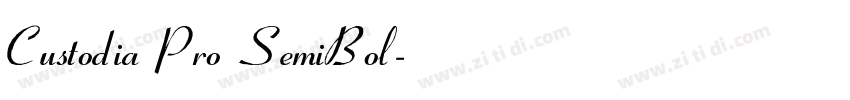 Custodia Pro SemiBol字体转换